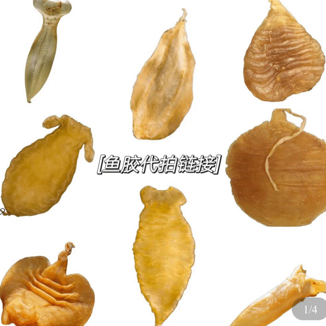 多种鱼胶 花胶鱼胶 鱼肚 南澳 1-1000g