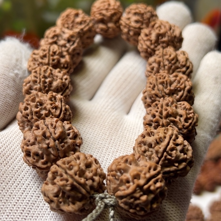 手串金刚菩提21平头粗筋蜂窝