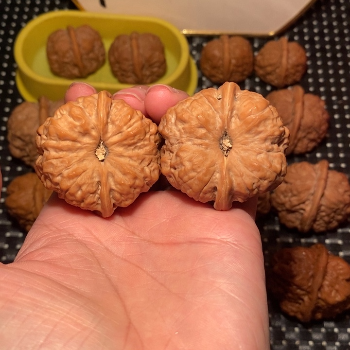 文玩核桃把件蟾形好底好