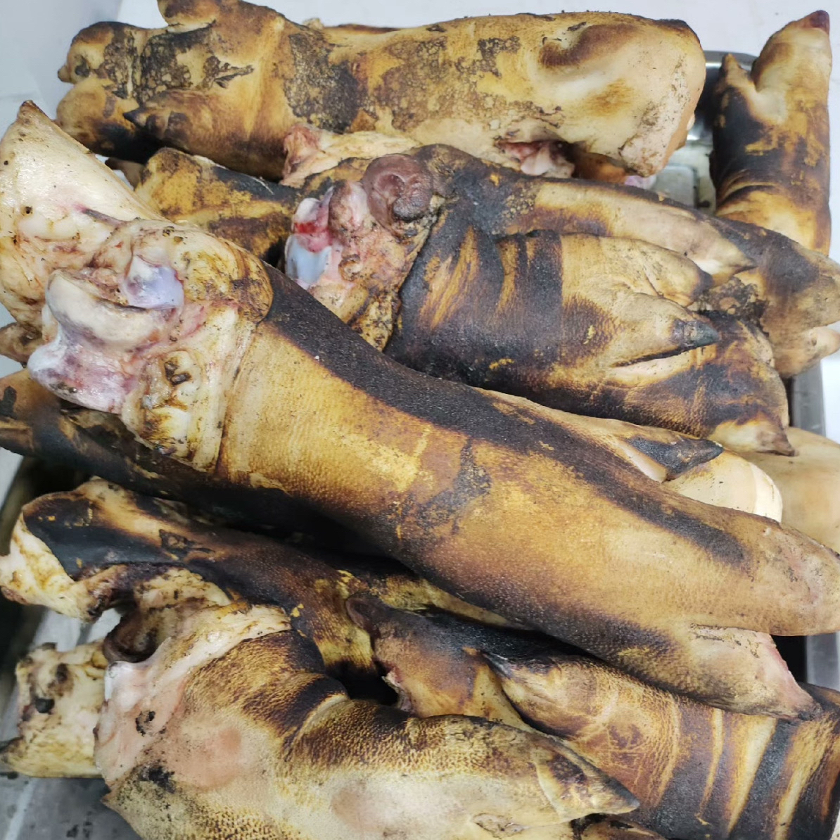 东北本地猪蹄猪前蹄猪后蹄混搭蹄火烧毛大前蹄带筋一级蹄猪爪