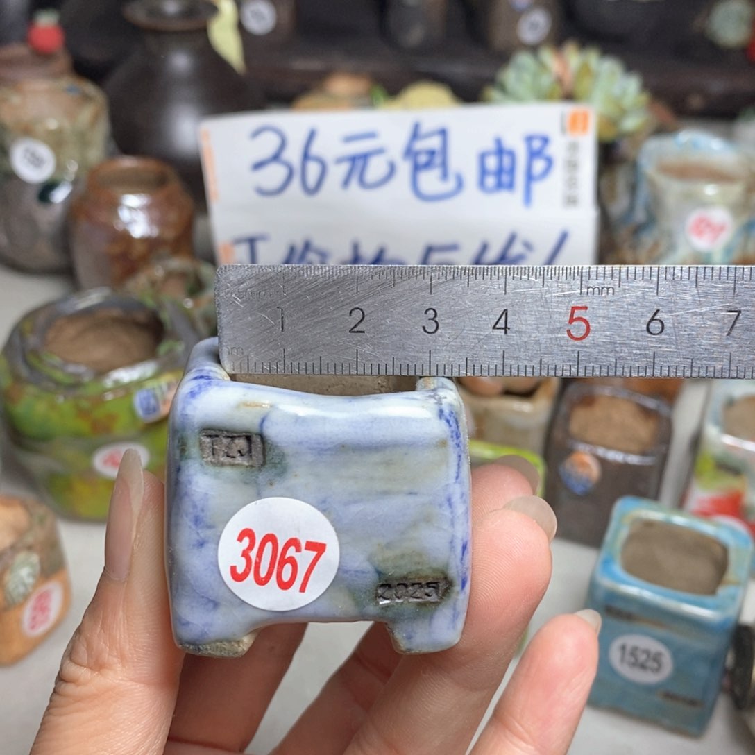 拍5送一个小礼物