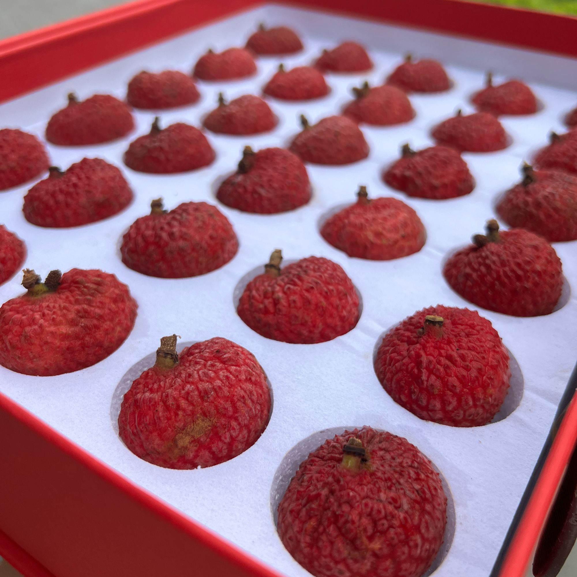 【唐老板专享】顺丰包邮广东增城年老树荔枝礼盒精选