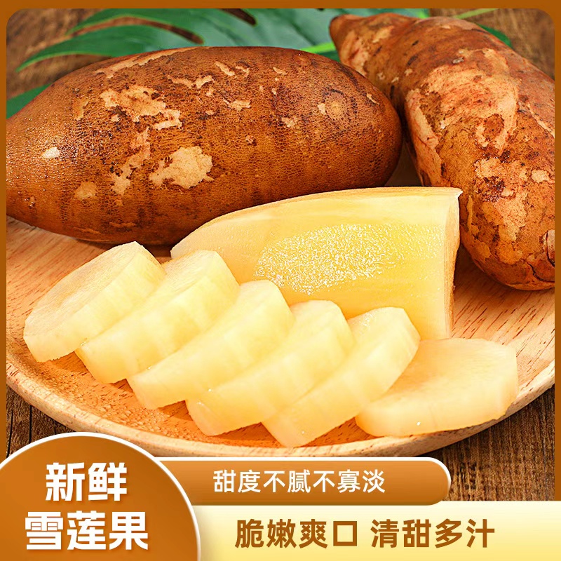 云南天山雪莲果新鲜应季脆甜多汁黄心红心水果秋冬季水果农家特产