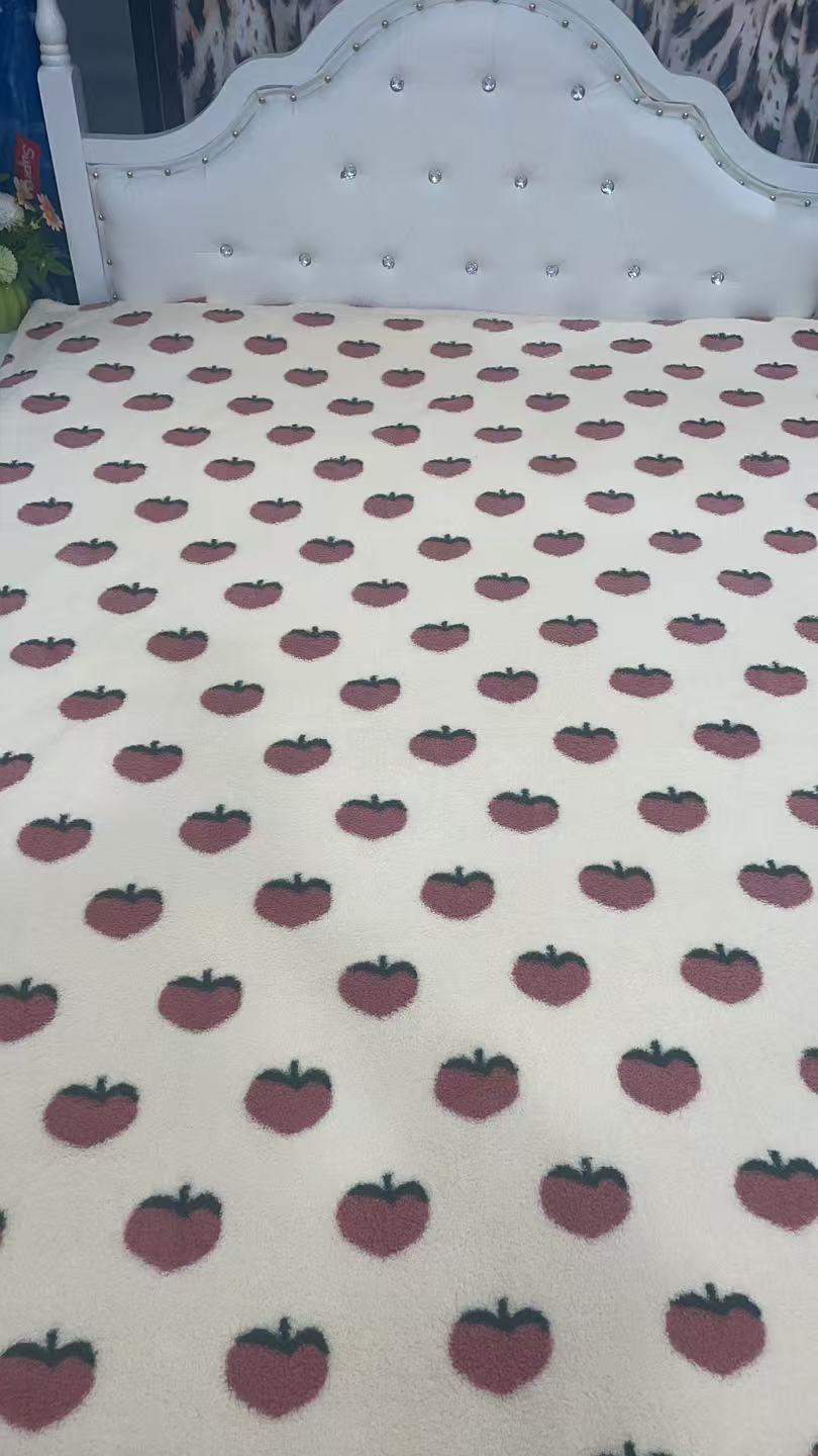 粉红简约风绒毯床盖秋冬冬季双面草莓毛毯