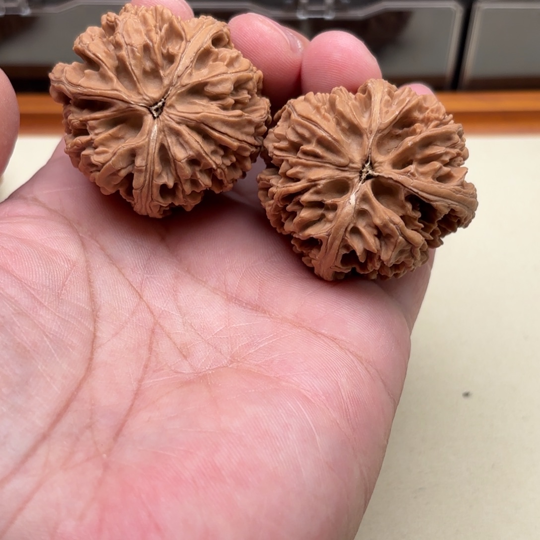 文玩核桃把件三棱丁