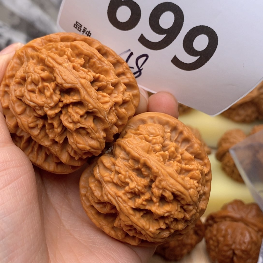 文玩核桃吊坠699号48粗筋