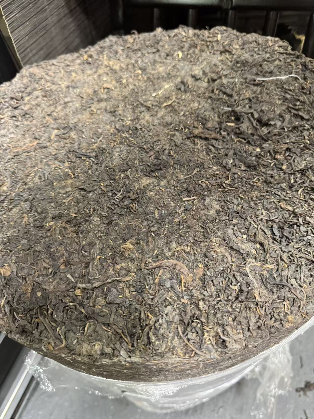 六十年代茶柱 生茶 