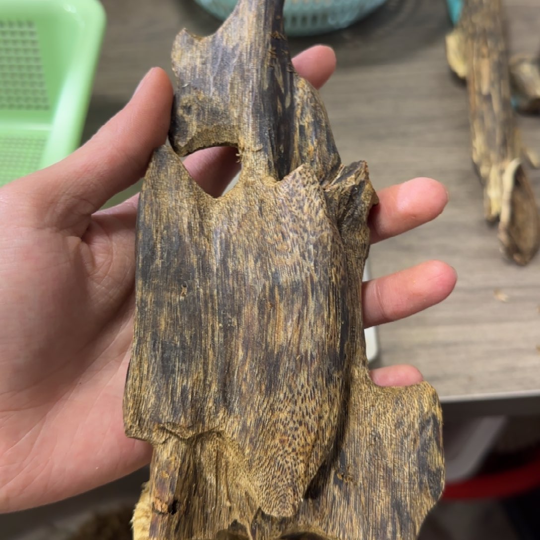 线香绿奇虫漏发一份