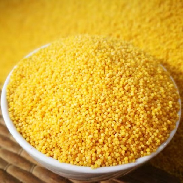 2斤 大黄米 农家自产五谷杂粮