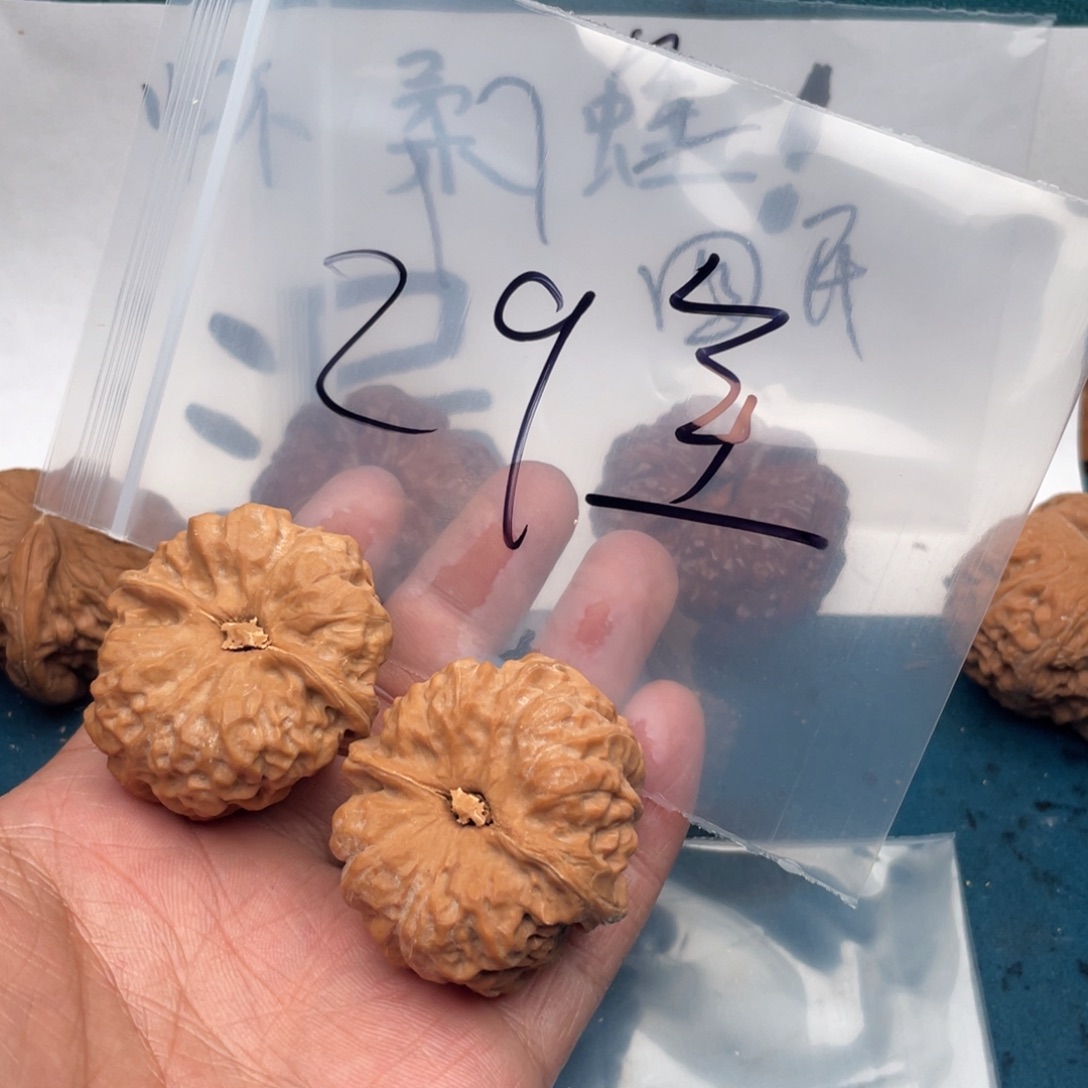 核桃W963469469964946496694