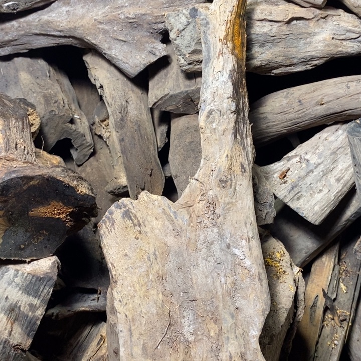 ****鱼贡木贡木手串定制（不退不换）