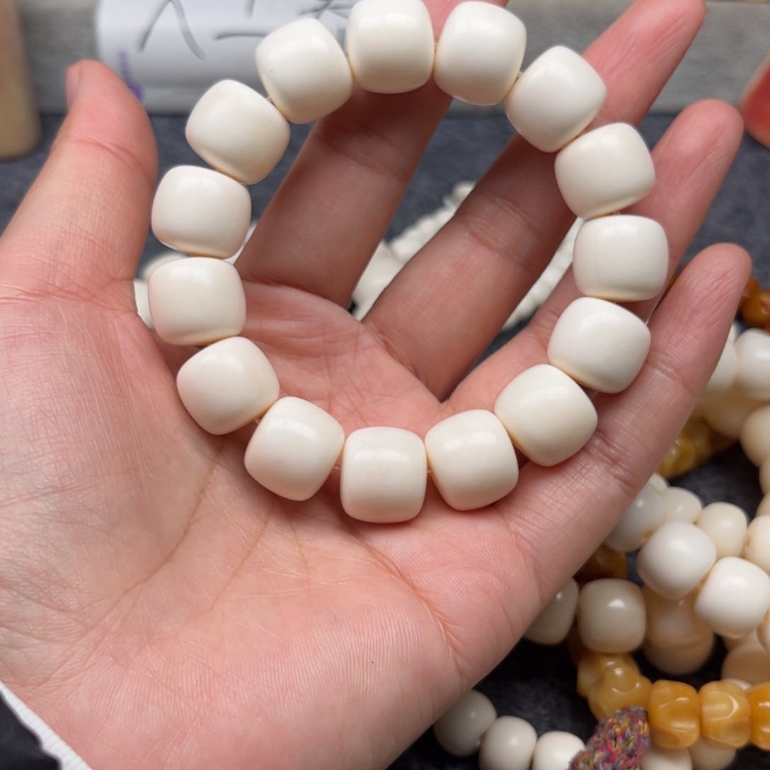 鹿骨其他人工养殖驼骨7