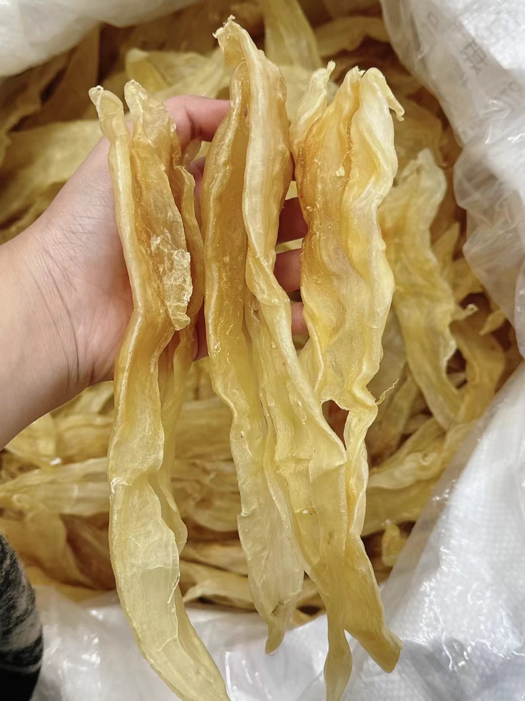 【鑫賸滋补】精选北海阴阳鱼胶花胶孕妇月子滋补品干货北海小孩鱼胶