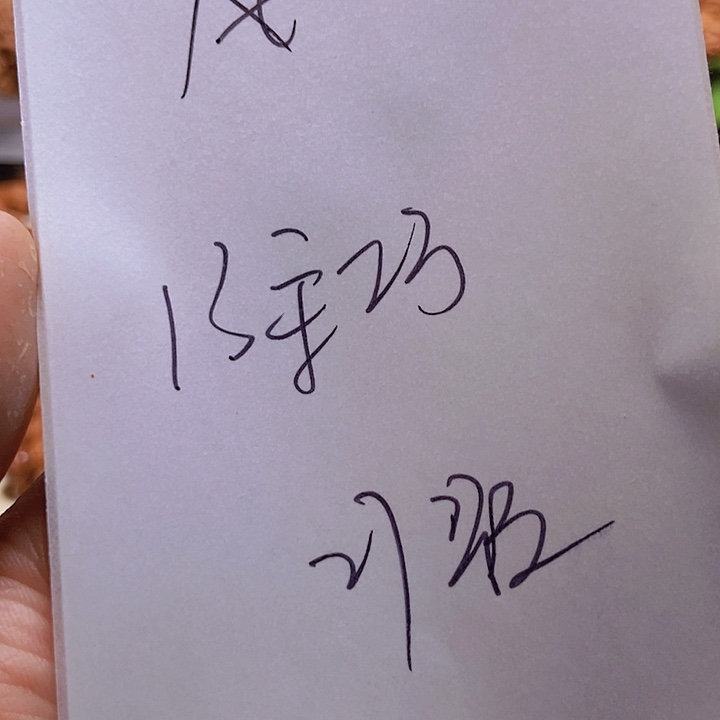 手串桃核风*.龙纹桃核