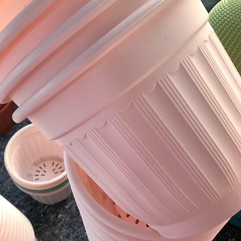 树脂24粉罗马无托4个