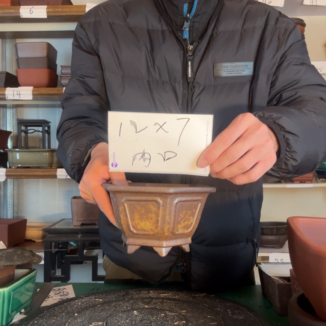 一天热风吹半个方法