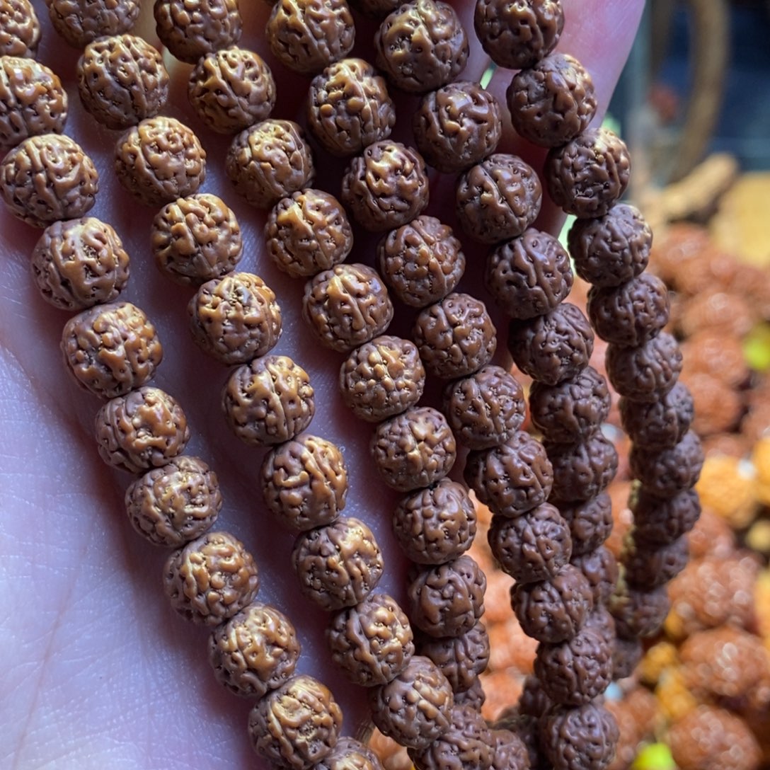 金刚菩提手串9-108树王原籽一代