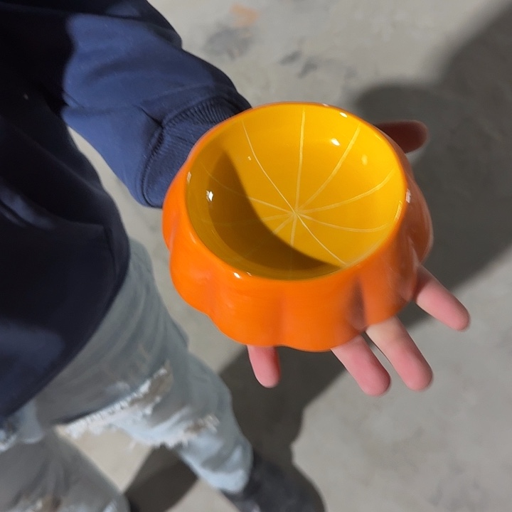 瓷片陶瓷微x链接在n1