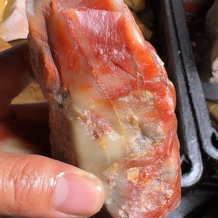 藝***斋寿山石寿山石的种类