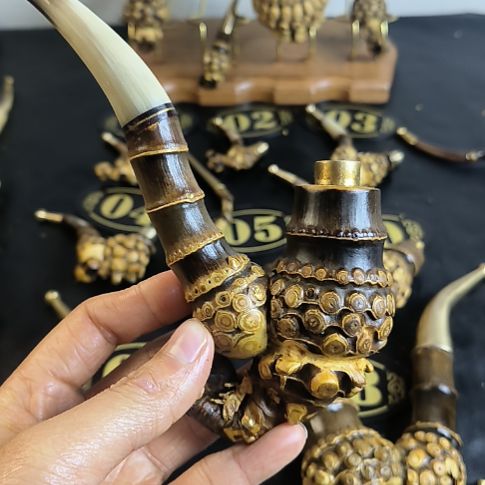 爱***胖紫竹wydgjjdhbdhhcf