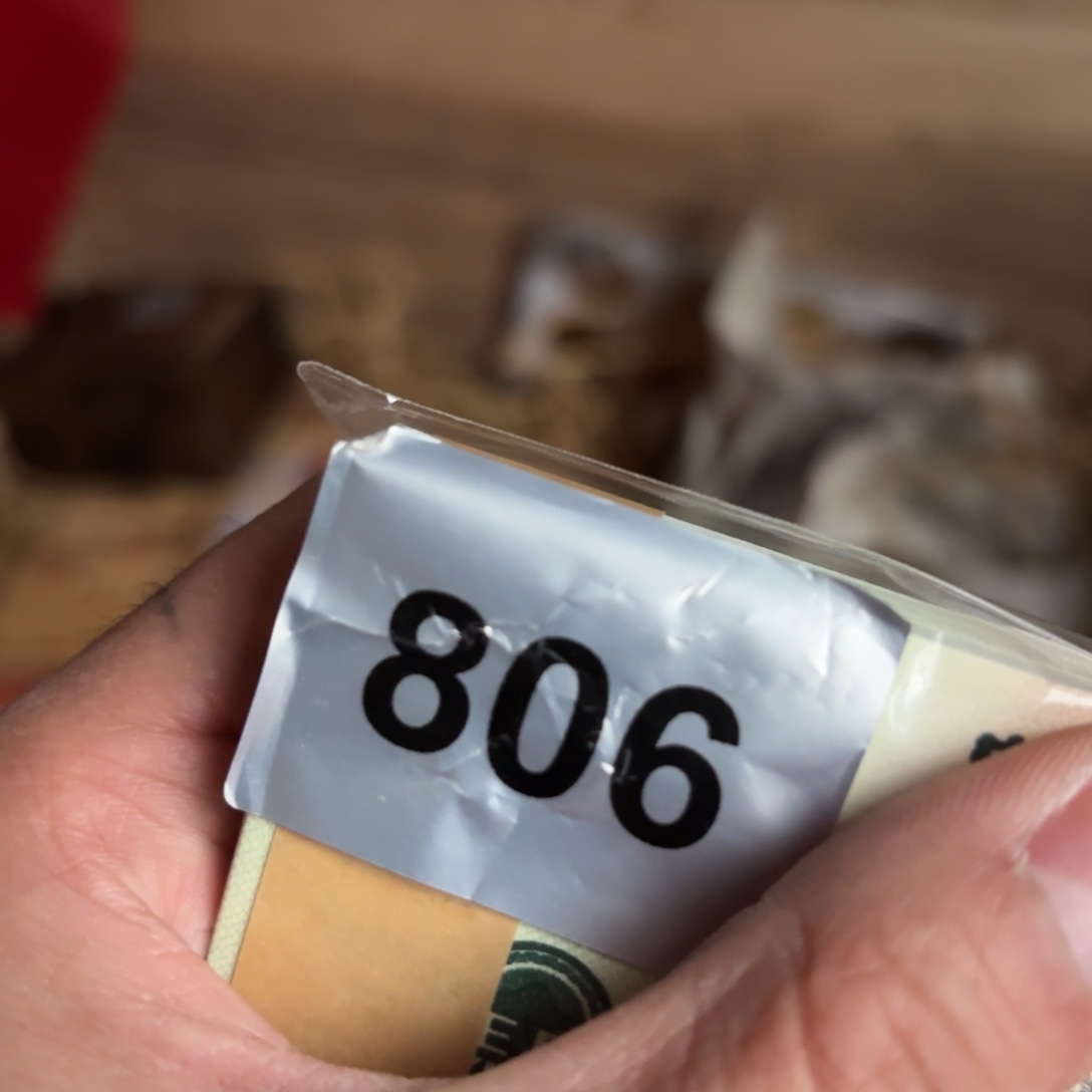 玉5442354455543445554534