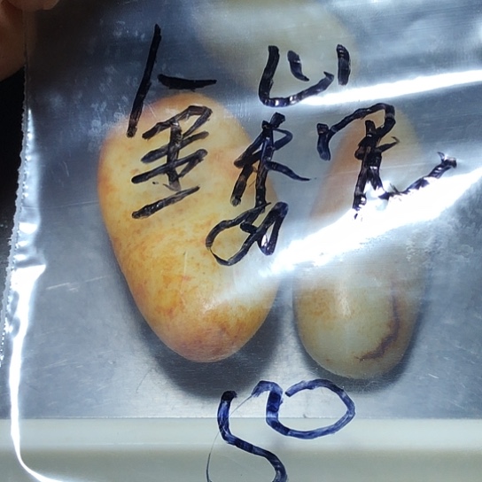 新疆和田原石石头陶