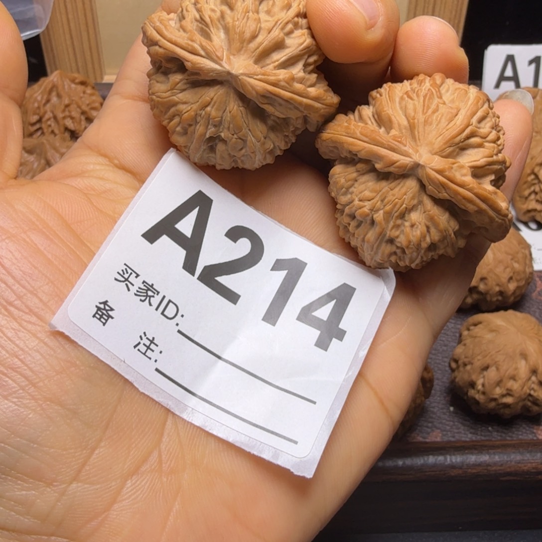 把件文玩核桃43尺白狮子A214