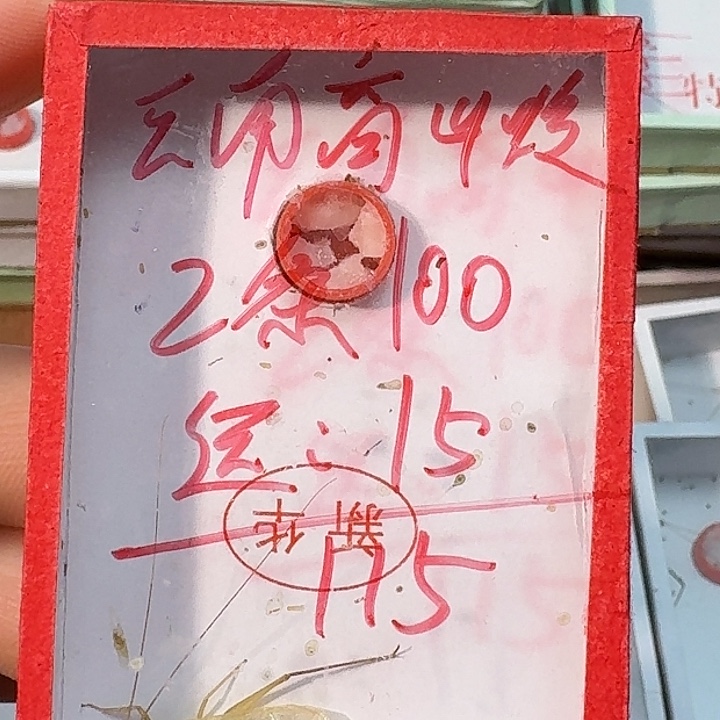 用***2蟋蟀2222222222222222