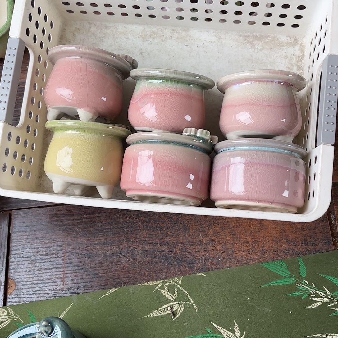 蜜***～量货/口高深浅搭配发6