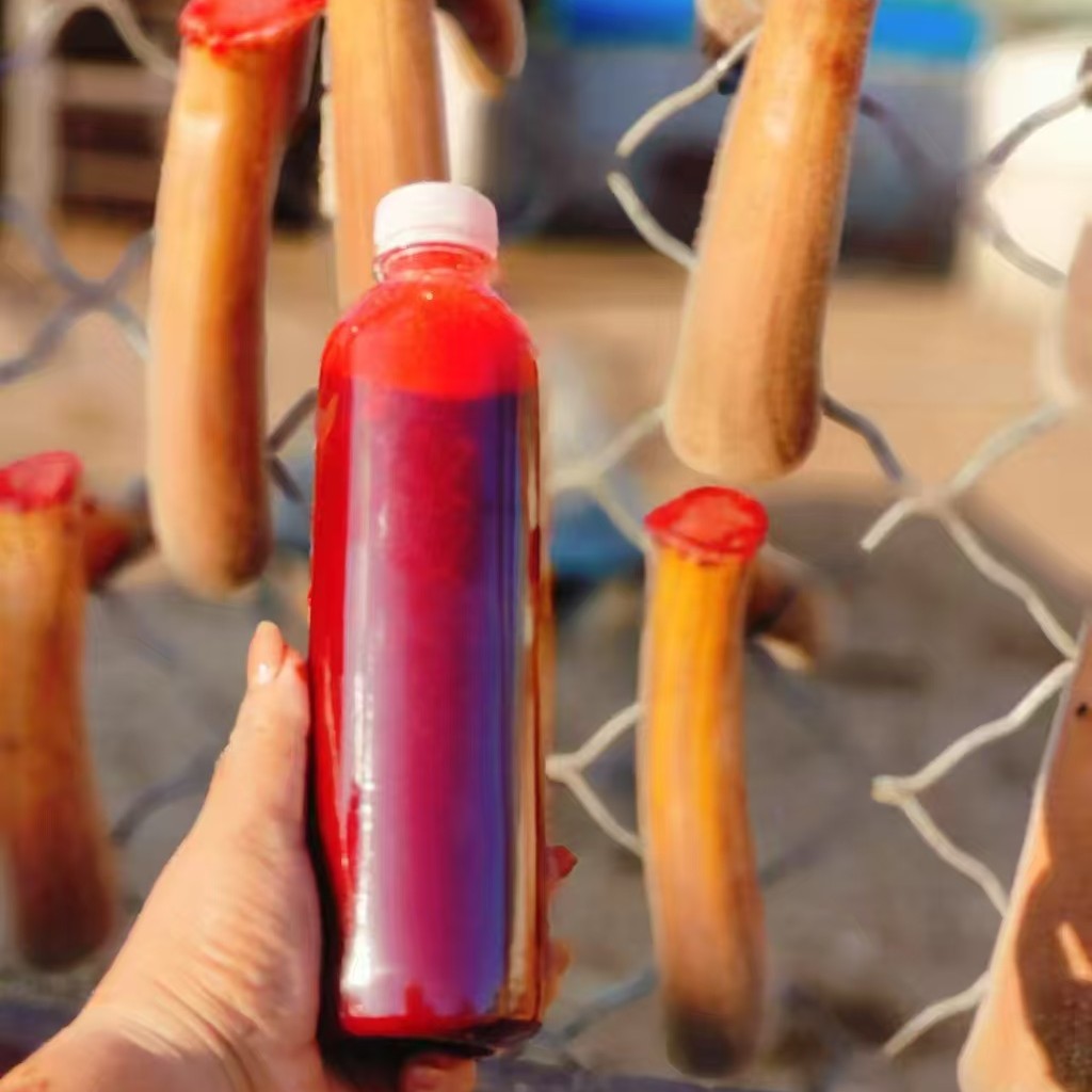 东北新鲜鹿茸红鲜鹿场直发