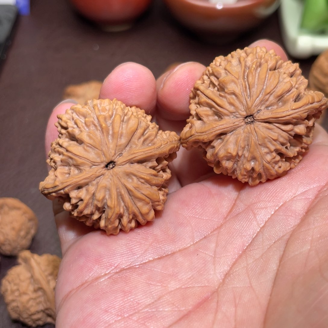 上****画文玩核桃纯野生果