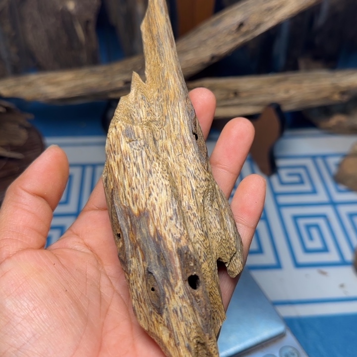 香粉母树白奇树心油48克