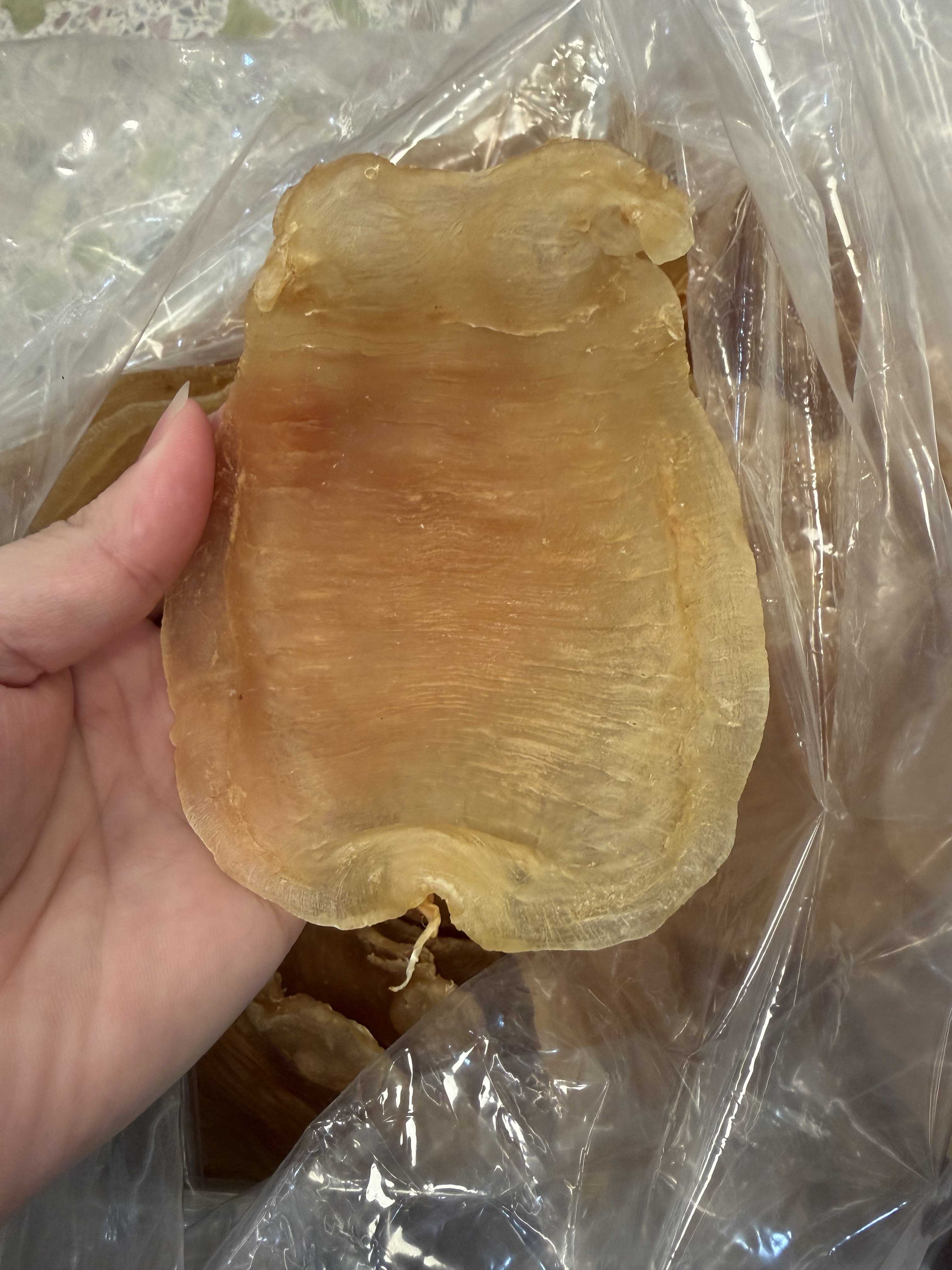 15-16头野生红鸡公赤嘴公胶 渔民货 月子胶  250克-500克