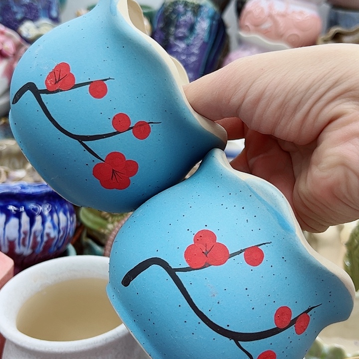 多肉绿植陶瓷花盆9.9包邮，有孔