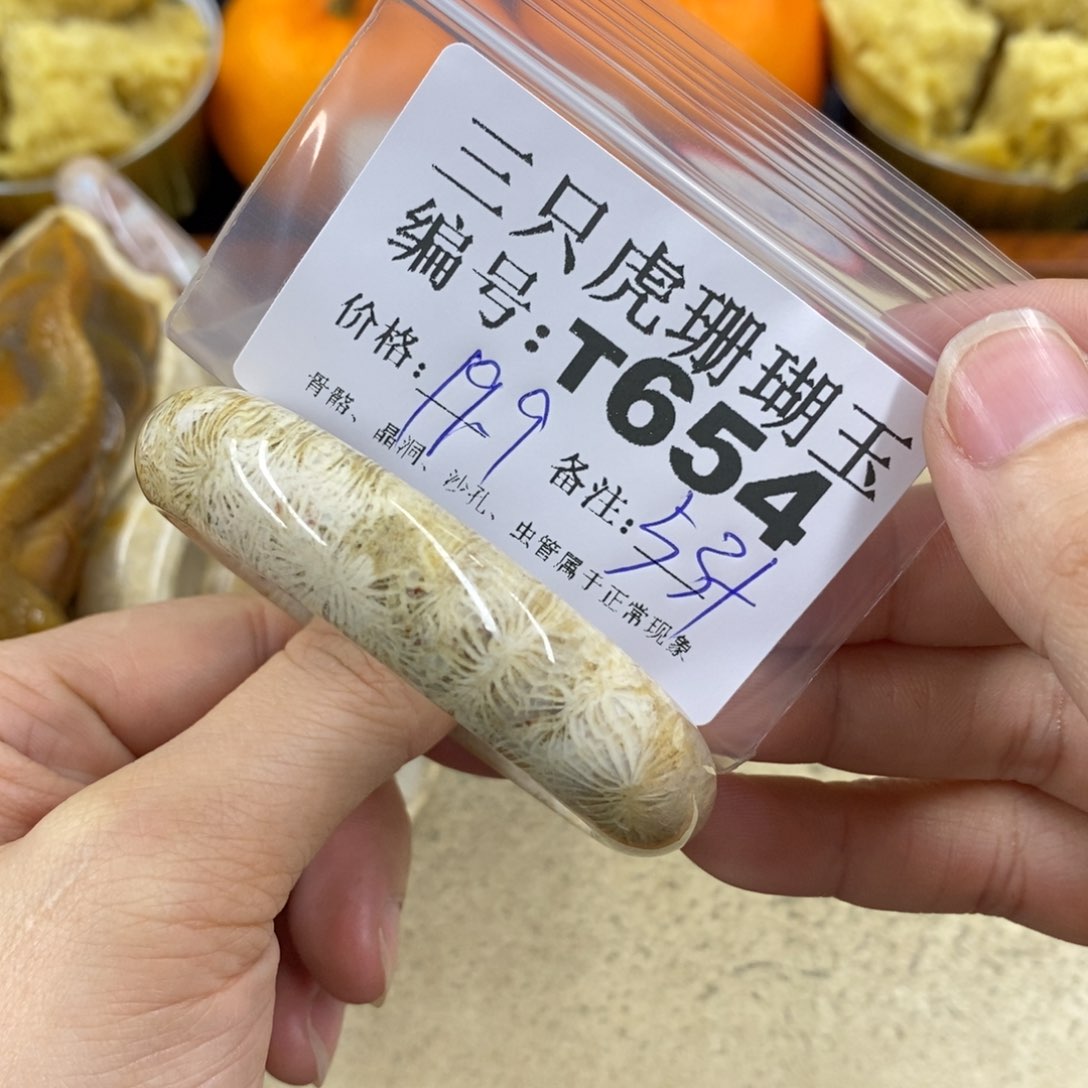 硅化珊瑚（珊瑚玉）1未镶嵌l****p