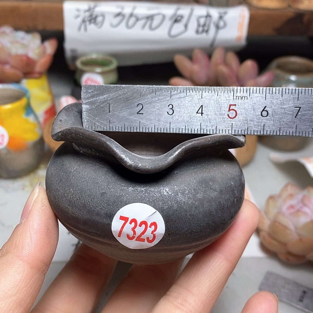 红陶拍5送一个小