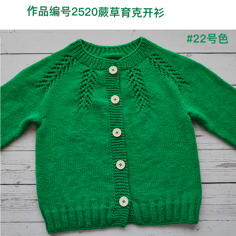 2520蕨草育克开衫 美丽诺羊毛线 柔软不扎抗起球 一团40克