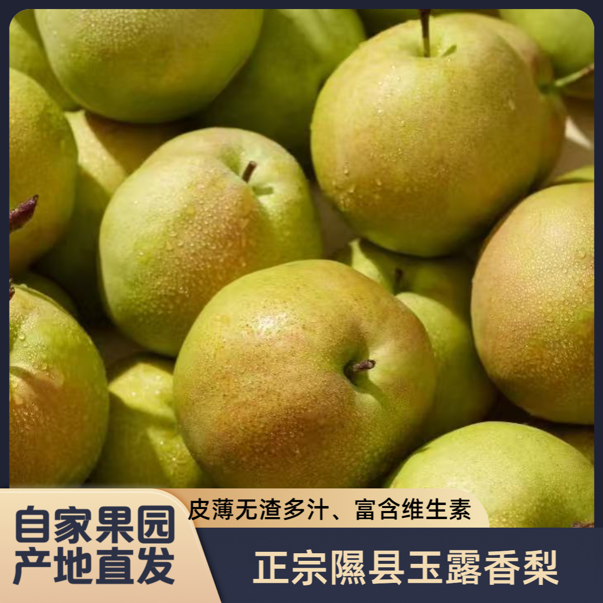 山西隰县正宗玉露香梨【顺丰包邮】净重9-10斤新鲜香甜多汁产地直发