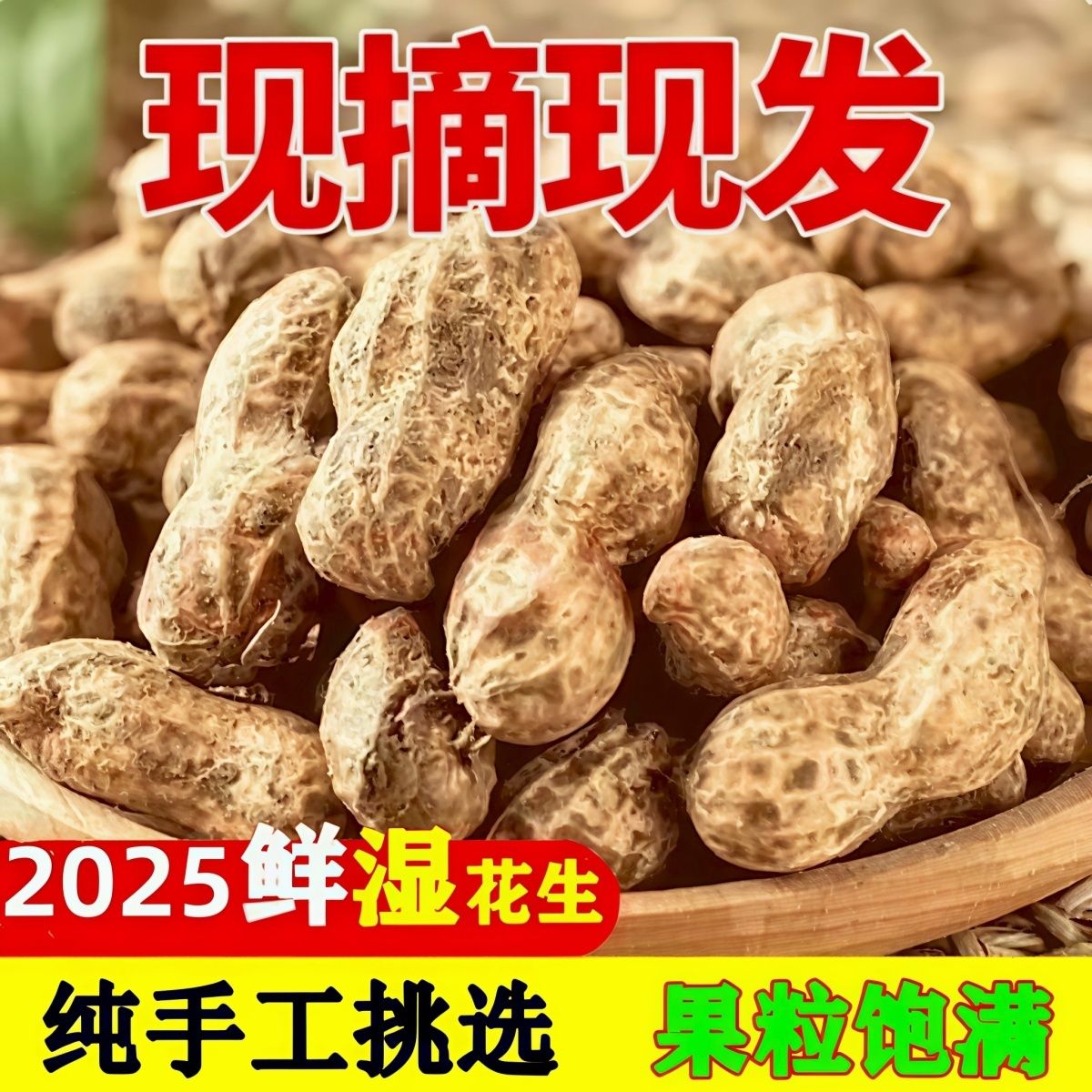 2025新鲜湿花生农家自种手工筛选现挖现发可水煮花生带壳新鲜花生