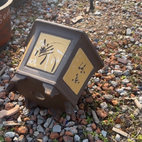 红陶紫砂花盆盆景盆栽