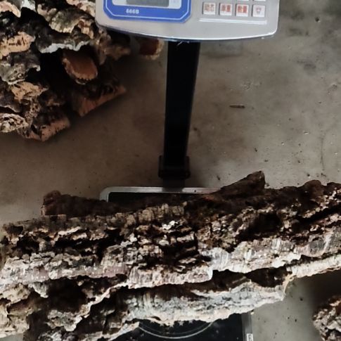 木一物一拍一物一发