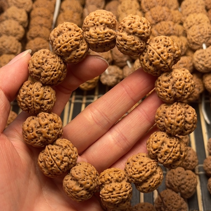 菩提尼泊尔大金刚爆肉梅花22