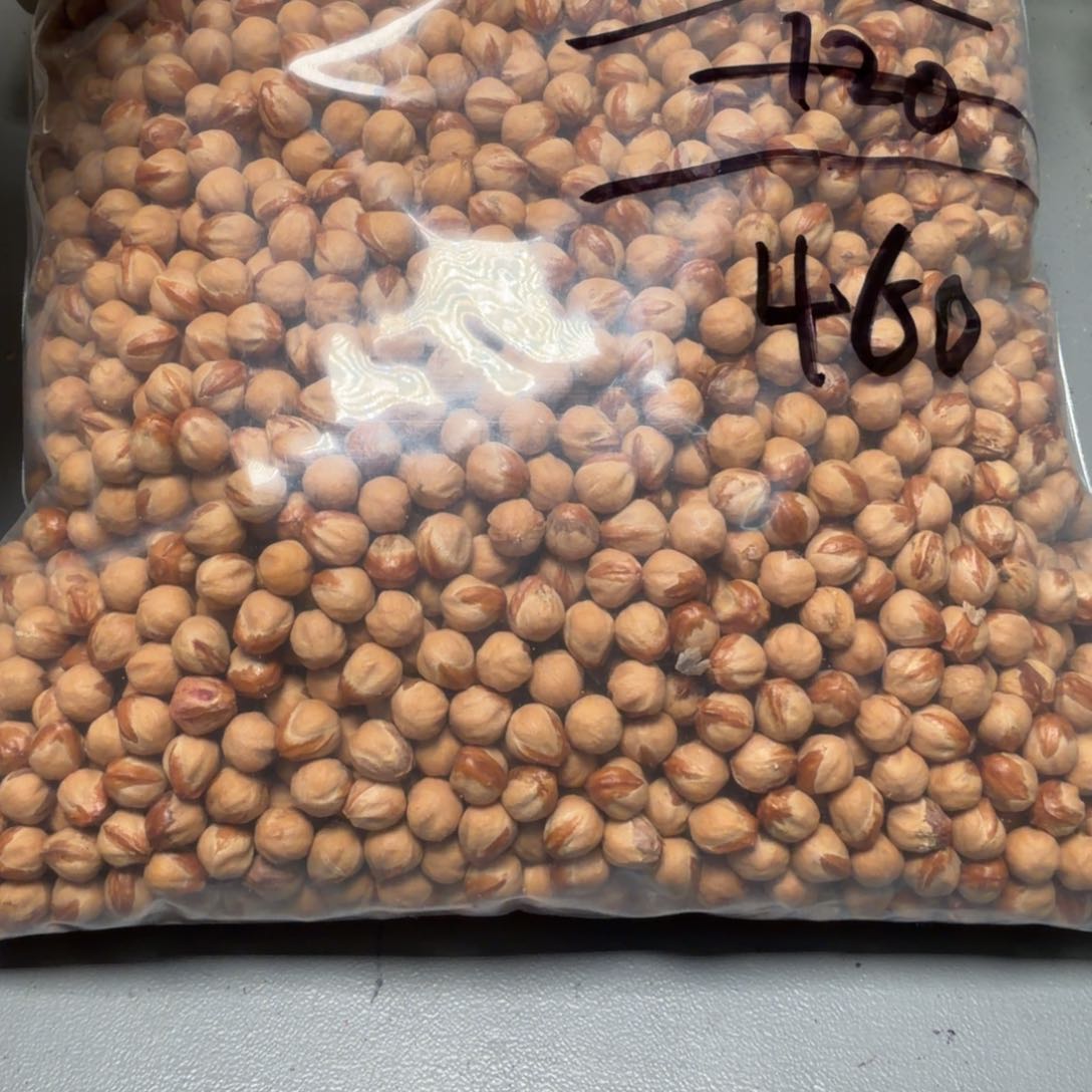 吊坠柏香籽/百香籽不***籽