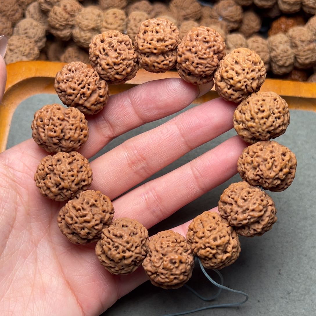 菩提38号金刚菩提满肉梅花22