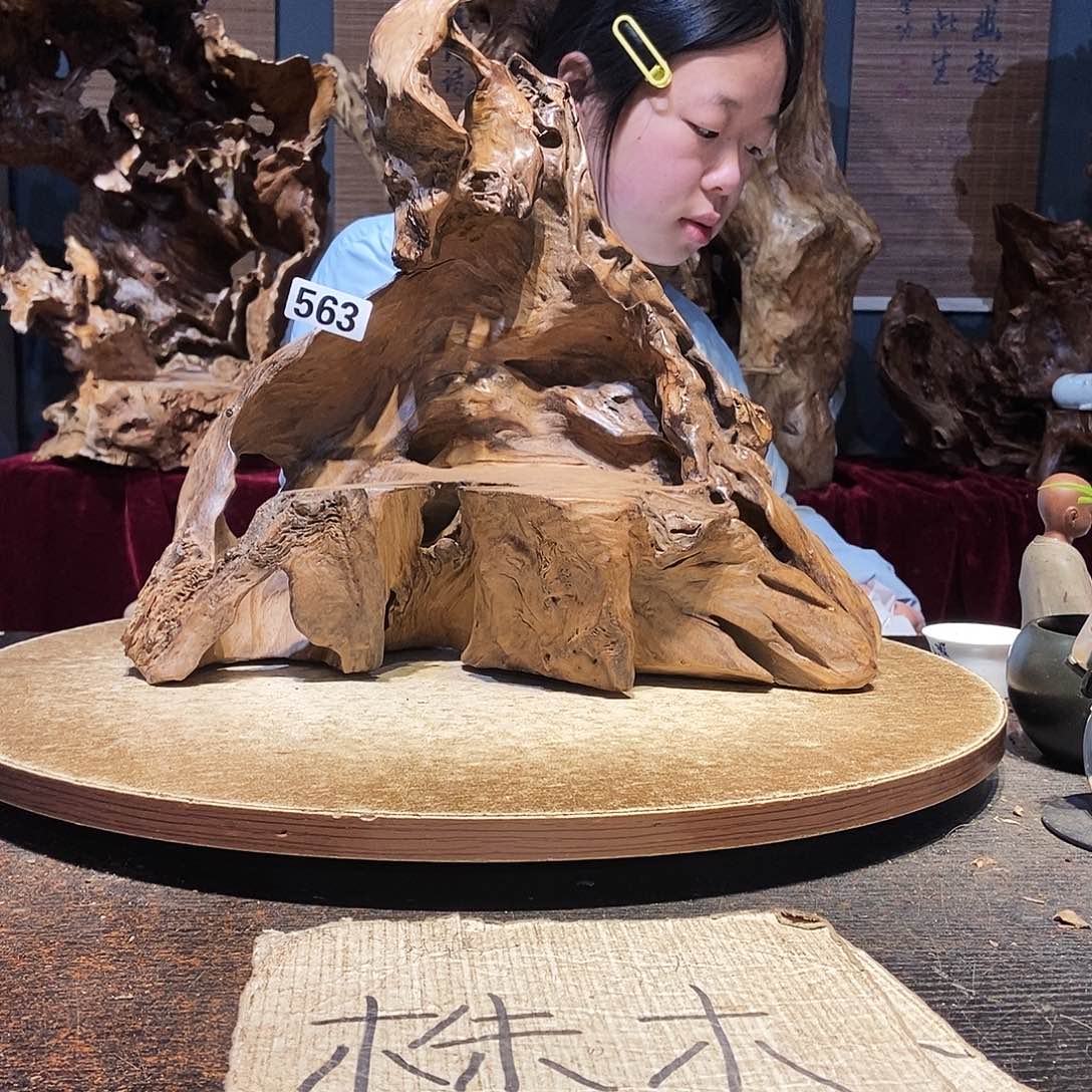 小***皮563株木随行的小根艺