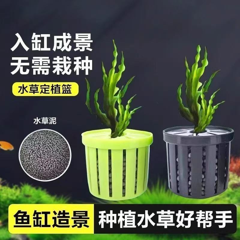 鱼缸水培植物篮家用水草种植水草泥沉底固定器种植造景装饰定植篮