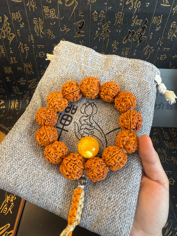 高端五星安娜蜂王，尼泊尔大金刚.