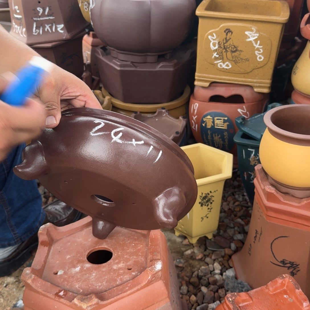 紫砂花盆紫砂花盆花盆盆景盆栽