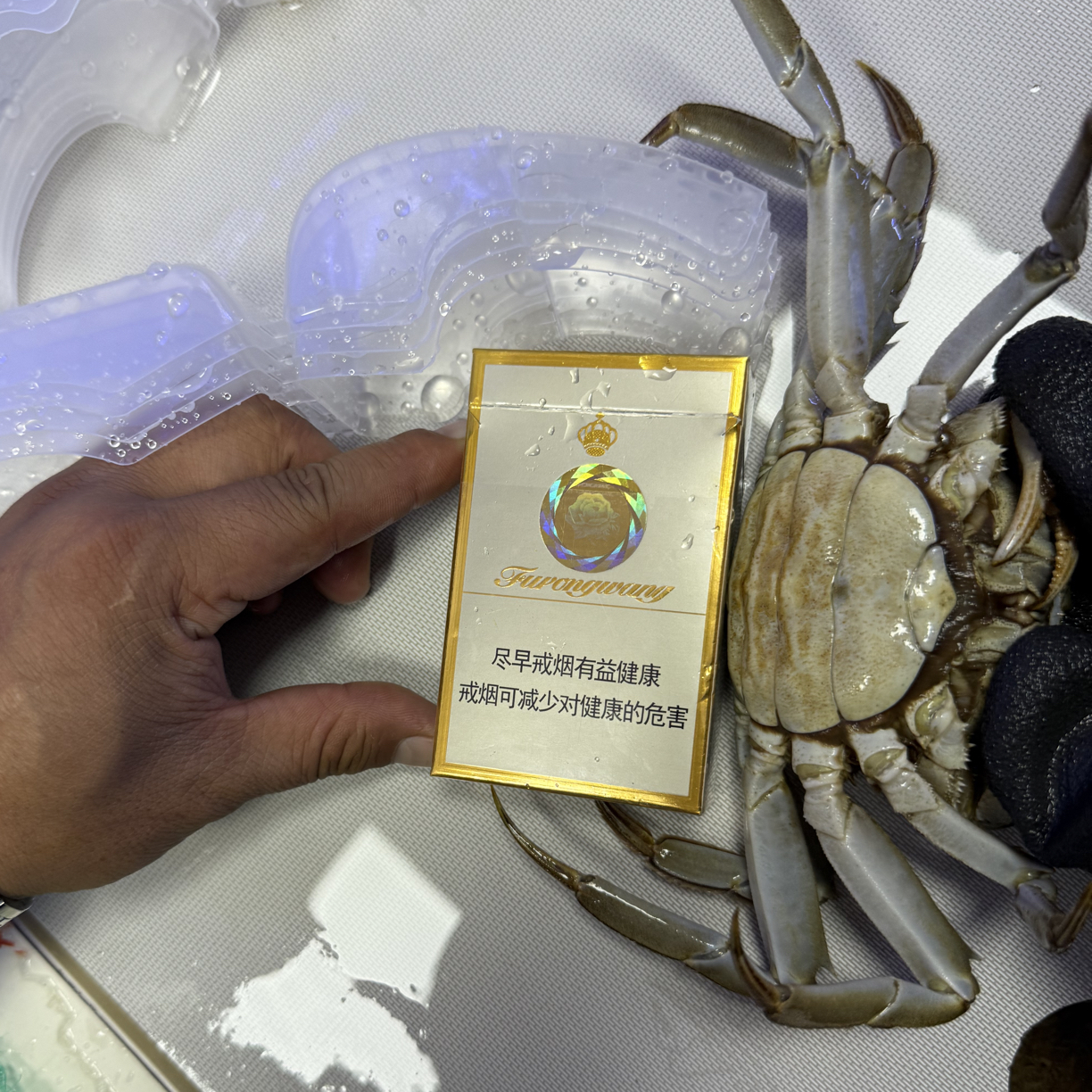 二两江苏大闸蟹纯母一公斤