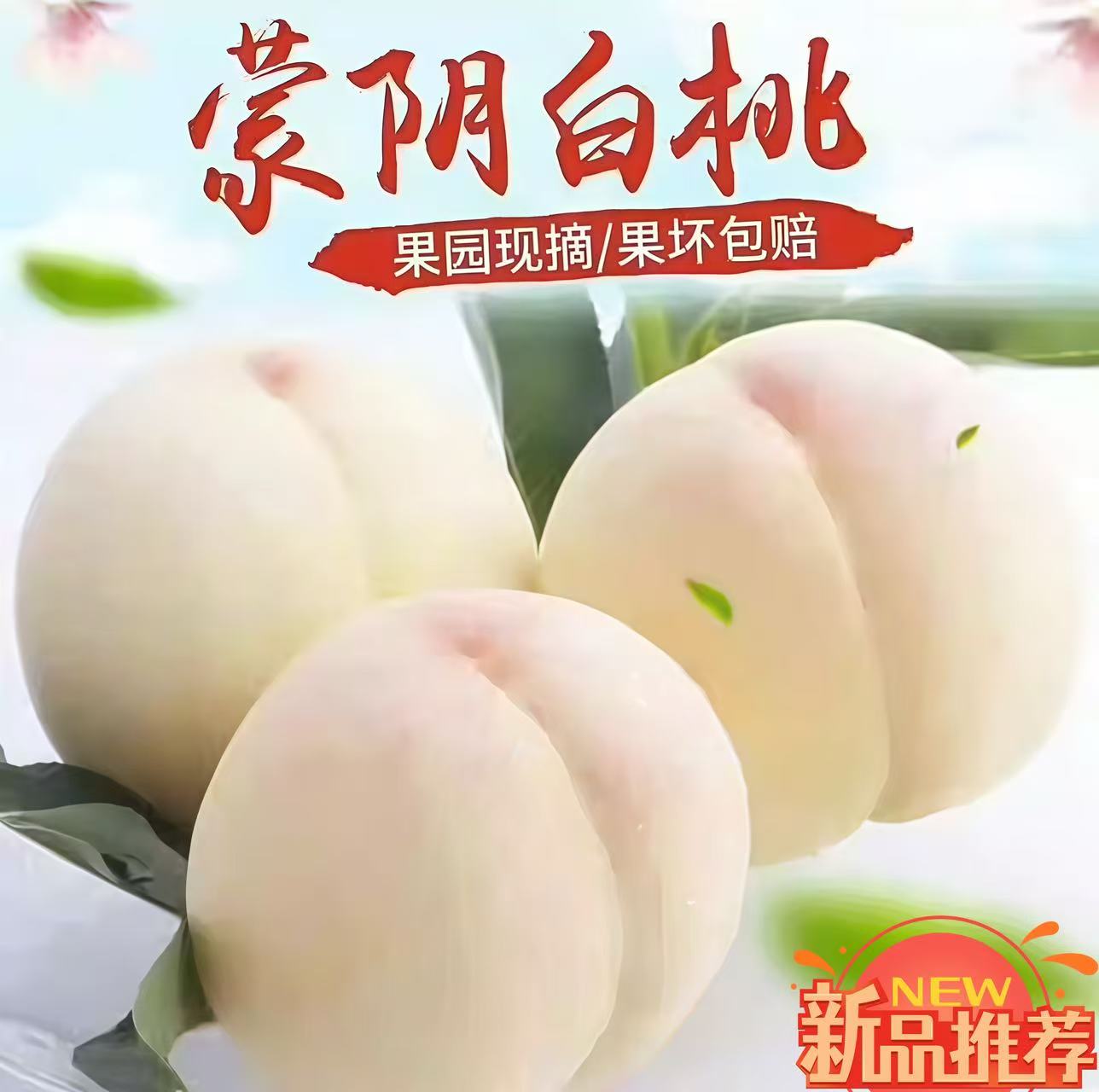 【现摘现发】奶油白玉桃新鲜山东白桃脆甜香甜多汁当季桃子白玉毛桃
